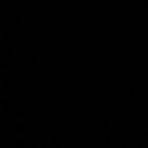 Meet your Posher, Kory